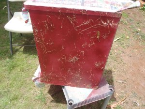 MartiWrites "Wrappily Entertained" blog entry